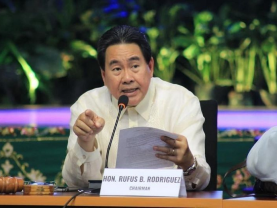 ‘No judgment yet’ on COA report: solon