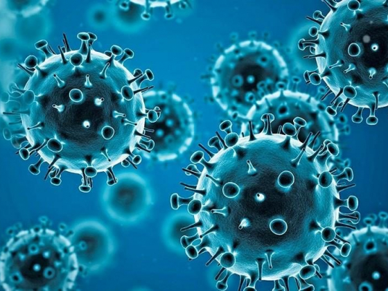 Gov’t urged to craft pandemic exit plan