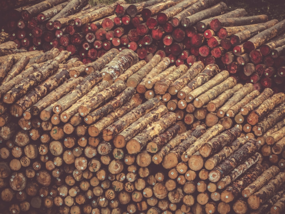 3 men yield P240-K hot logs in Surigao Sur