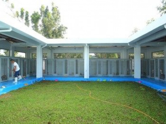 Sorsogon opens shelter, clinic for abandoned animals