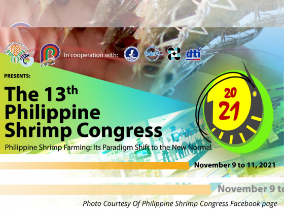 Gov't reiterates support to PH shrimp industry