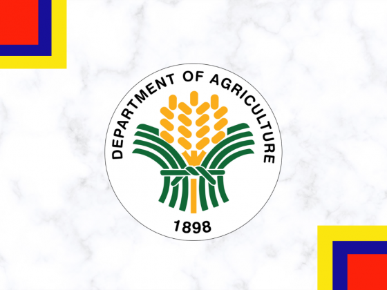 DA-10 steps in to prevent onion price hike