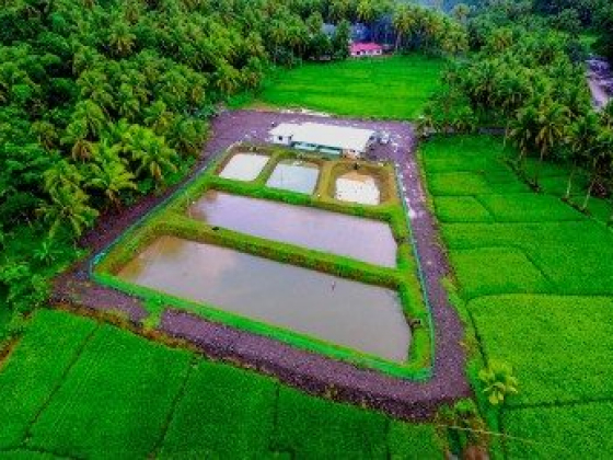 BFAR turns over 9 hatcheries in 3 provinces