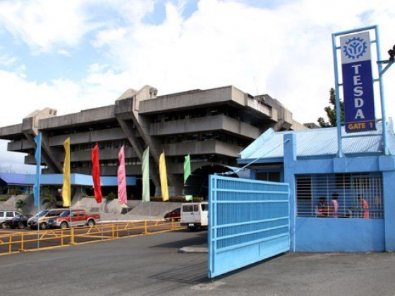 TESDA to add 2 farming-related courses; urges farmers to enroll
