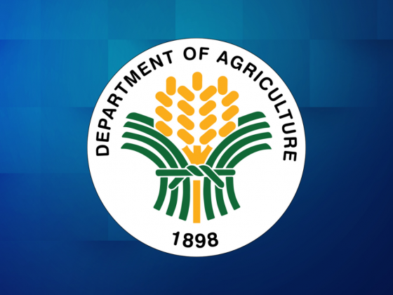DA allocates P12.7-M quick response fund for NorMin farmers