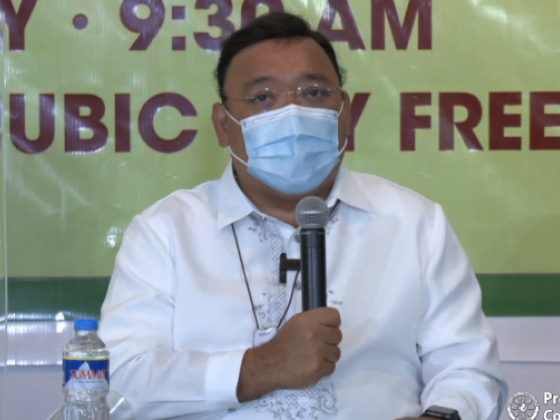 Roque wants to empower LGUs