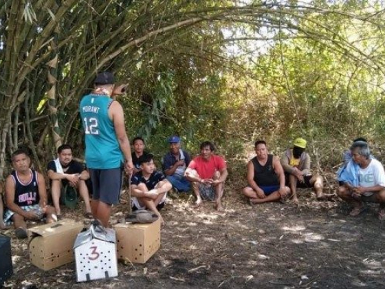 Cops nab 13 illegal cockfight aficionados in Gapan City