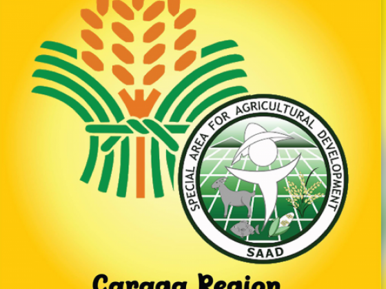 27 farmer groups get over P20-M agri projects in Caraga