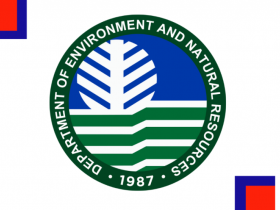 DENR policy-making body gears for improved land governance
