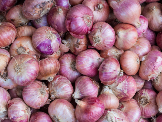 Onion prices continue to drop as imports arrive