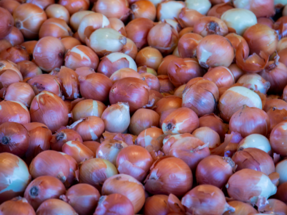 House panel vows to unmask onion cartel leaders