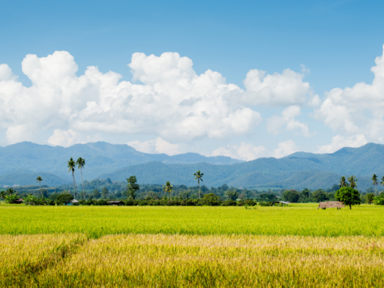 Warm weather continues to prevail across PH