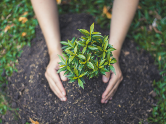 DBM to gov't agencies: Intensify climate change planning