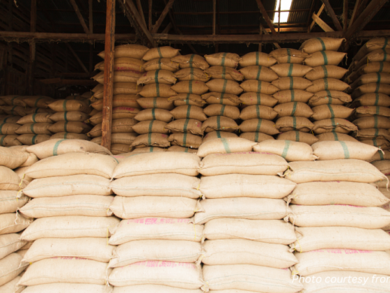 Gov’t looking to surpass 100% rice self-sufficiency: PBBM