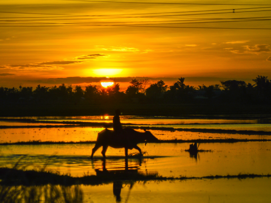 House OKs bill giving cash aid to farmers on 3rd reading
