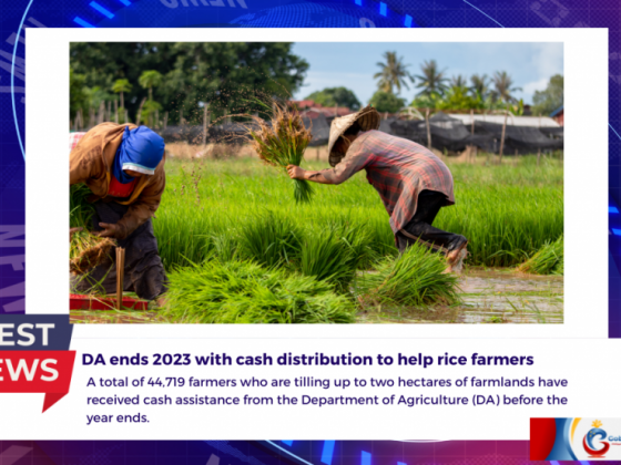 DA ends 2023 with cash distribution to help rice farmers