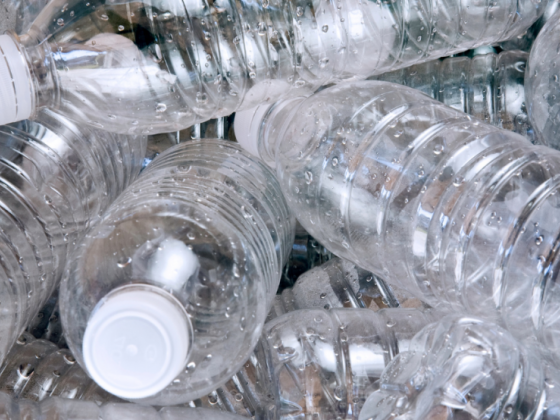 'Avoidance and prudence’ key to eliminating plastic pollution: expert