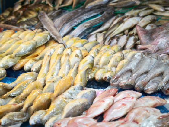 Expect price hike on fish as Holy Week nears: DA