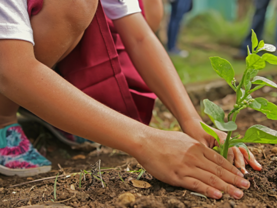 MWSS, DENR, MTFI target planting 15 million new trees by 2030