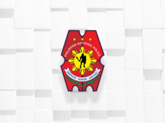 PNP open to probe on alleged torture in Bulacan cop slay case
