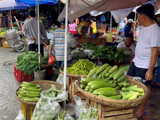 PBBM vows quick cash aid release; warns vs. hoarding, profiteering