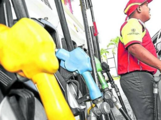 Excise tax on fuel reduction to ease inflationary pressures - economist