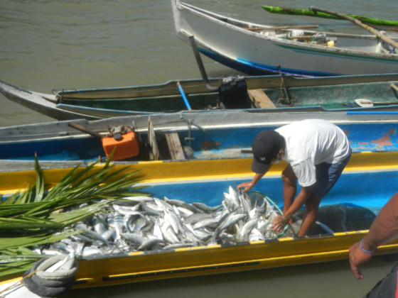 Fishers, farmers to receive fuel subsidy this month – DA