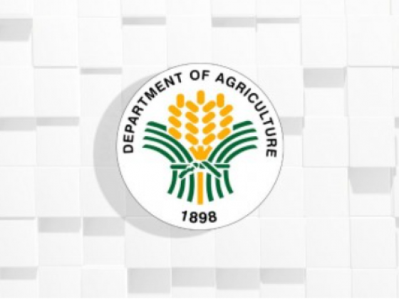 DA exempts green energy, socialized housing from land conversions ban