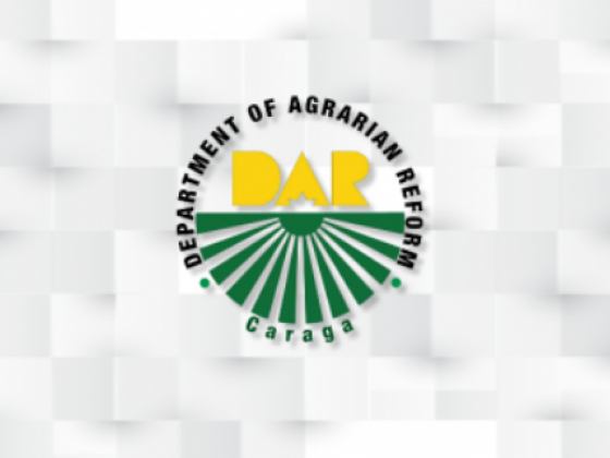 DAR warns vs. circulating draft on land clearance policy not yet final