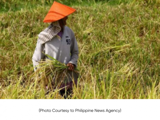 DA readies P1-B QRF to aid farmers, fishers