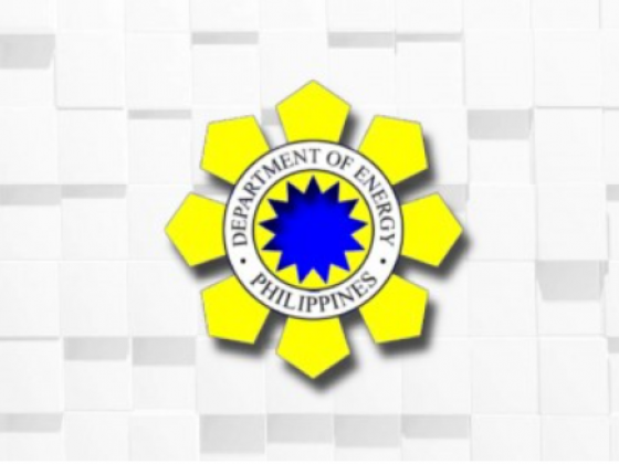 DOE backs private e-bus push to lessen fuel dependence