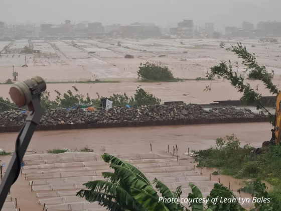 P60-M drainage project to curb flooding in strawberry farm