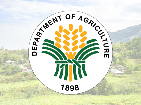 DA pushes for P40-B add’l budget for 2022