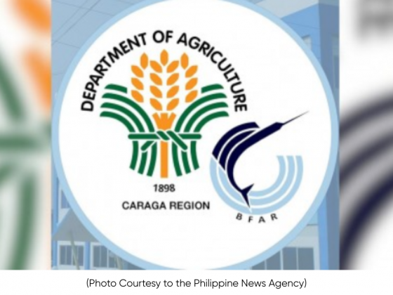 Basyang causes P11.2-M losses in Caraga’s fishery sector