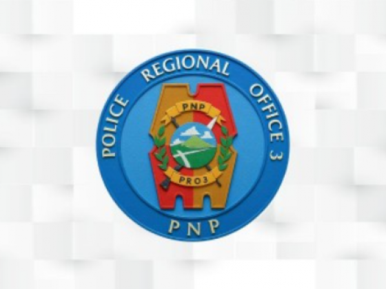 Central Luzon police record 14.95% drop in focus crimes